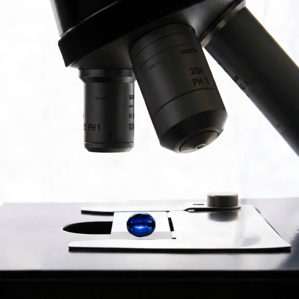 Fifty years of research