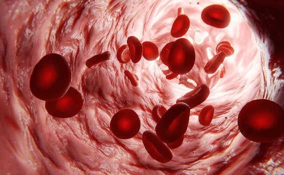  Helps increase blood circulation in your skin