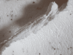 Parabens & Sulfates